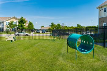 On-Premise Fenced In Dog Park